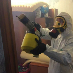 Уничтожение клопов в квартире. Рыбное
